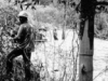 Washington Electric Co-op Crews Repair Damage from Flooding in 1984 