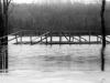 1999 Tropical Storm Floyd 