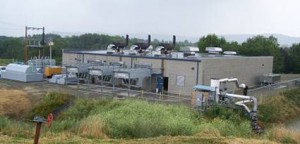 Cov Plant 2005