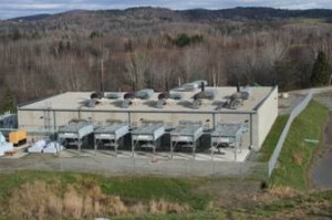 Cov Plant 2009