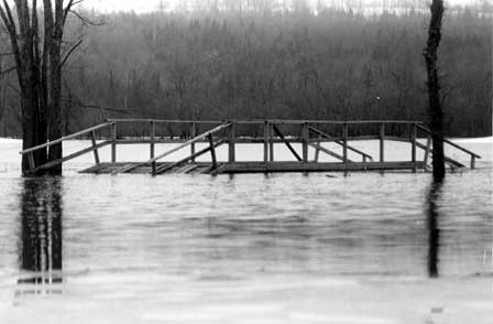 Image of ice storm damage