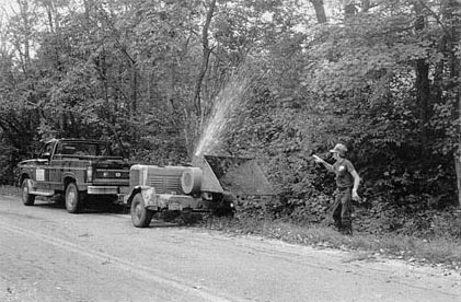 Clearing the Lines in 1987