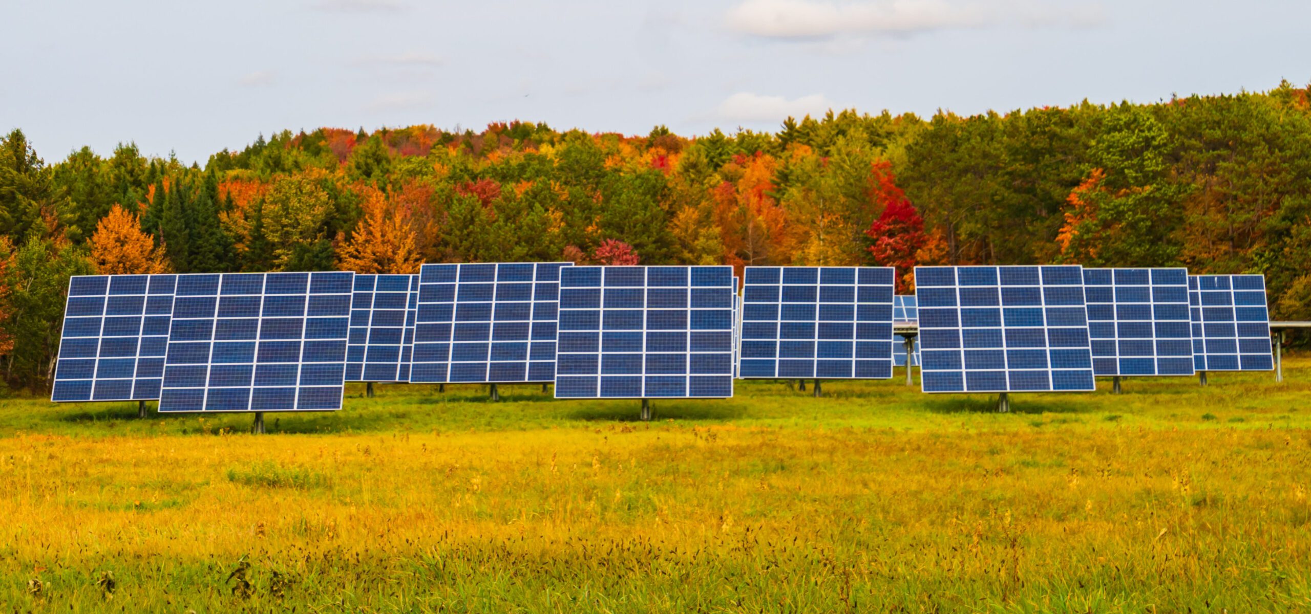Solar panels in an autumn field.